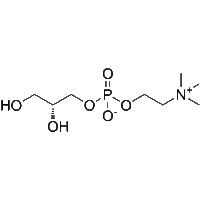 Alpha-GPC