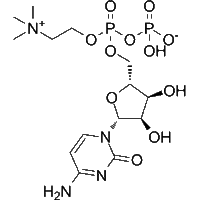 CDP-Choline